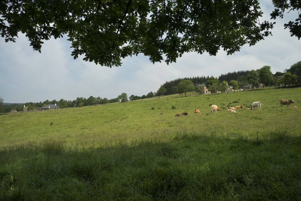 Aldea Etnográfica de Carelle - General prado