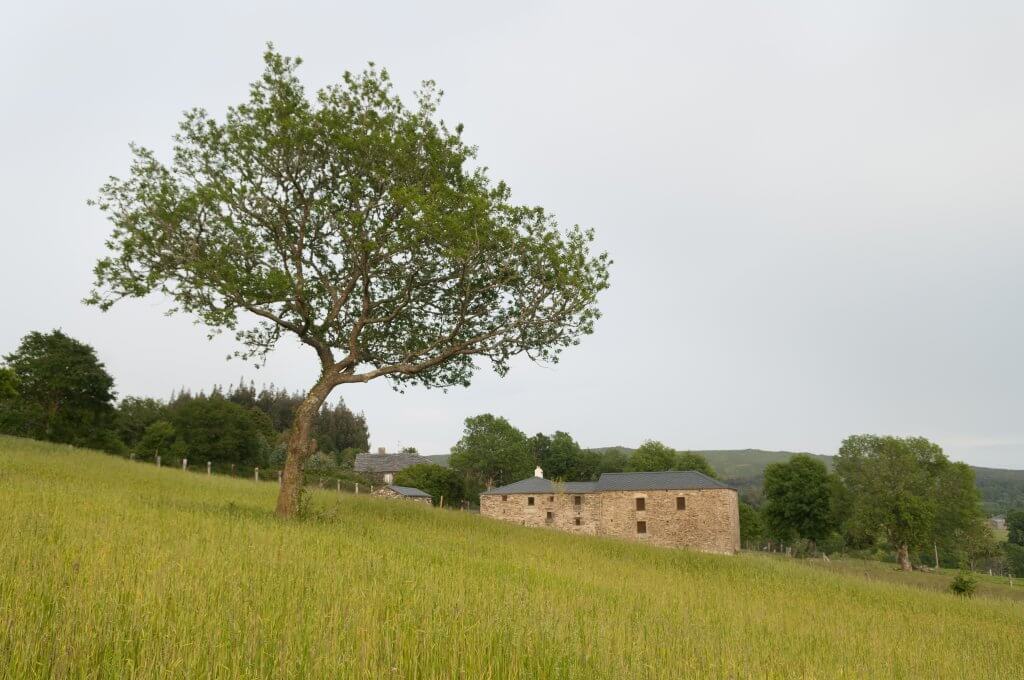 Aldea Etnográfica de Carelle - Trigal